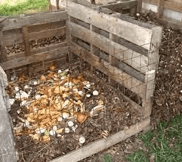 12 Things to consider when choosing a composter