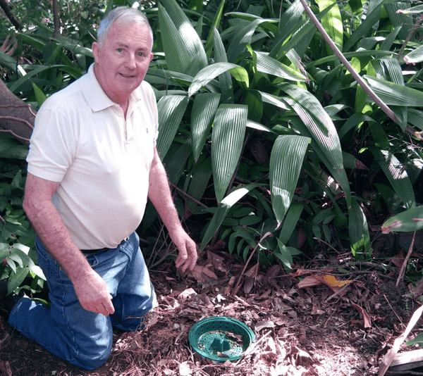Holiday Effects on Bob's Compots
