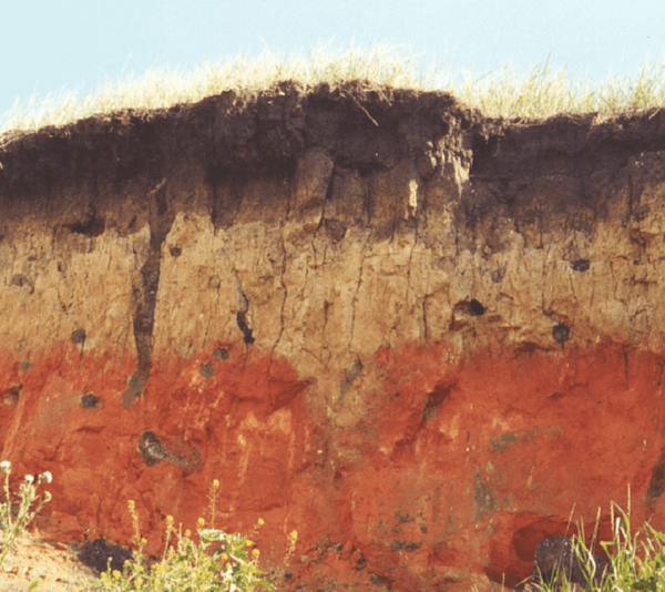 Basic Soil Properties