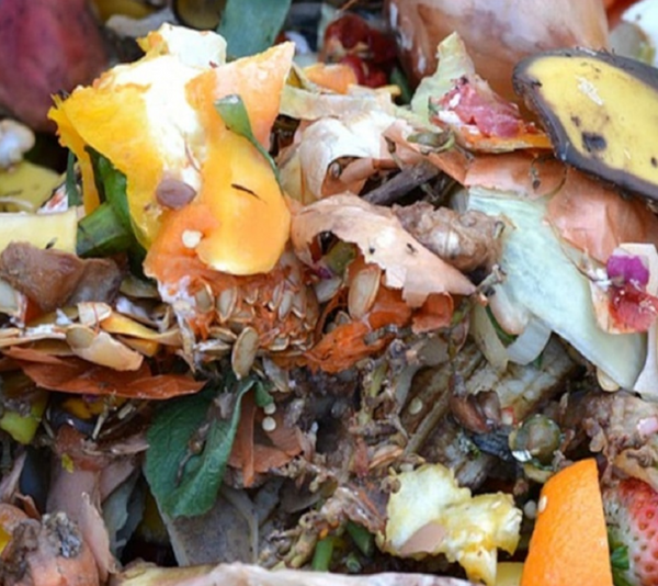 You would like to reduce your waste – wouldn’t you!