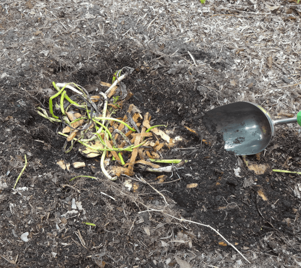 In-Ground Composter Comparison Guide