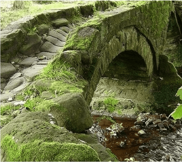 Good and Bad Moss