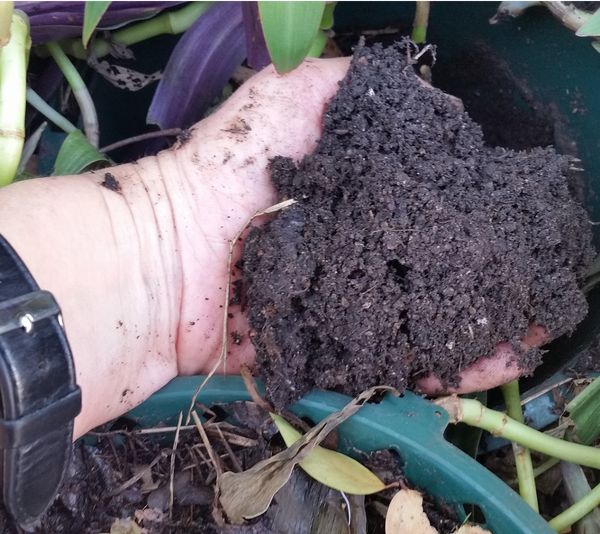 What Makes Good Compost?