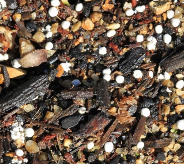 Potting mixes are not all the same!