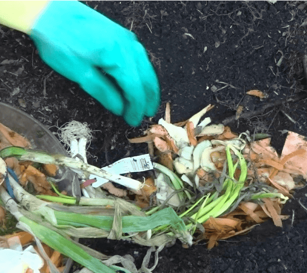 Pros and Cons of Trench Composting