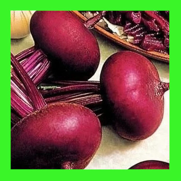 BEETROOT-EGYPTIAN