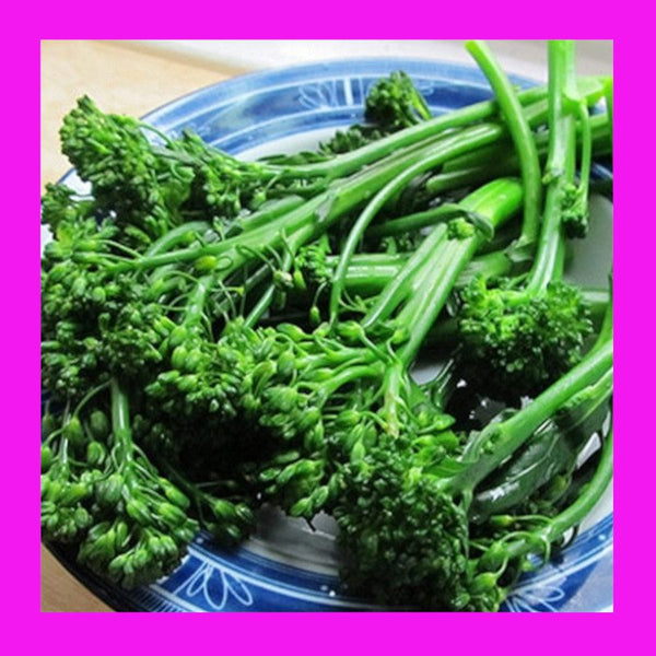 BROCCOLI-CHINESE-GAILAN