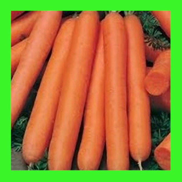 CARROT-NANTES