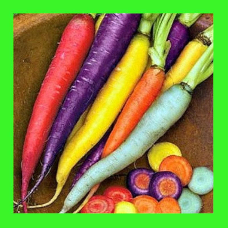 CARROT-RAINBOW BLEND