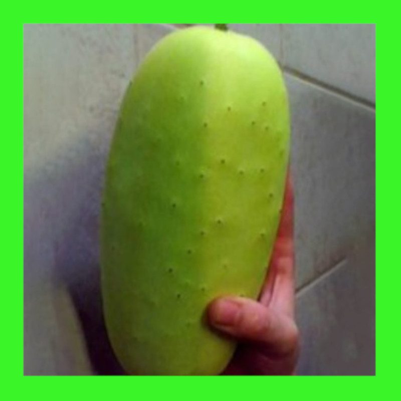 CUCUMBER-GYMPIE GOLD (RARE) - AUST