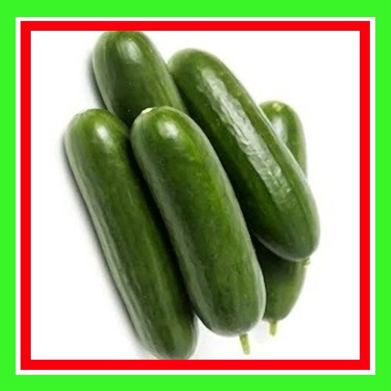 CUCUMBER-LEBANESE (TREATED)