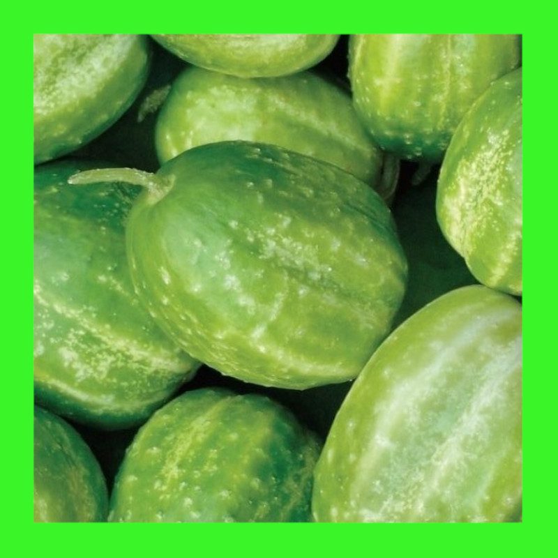 CUCUMBER-RICHMOND RIVER GREEN APPLE - AUST