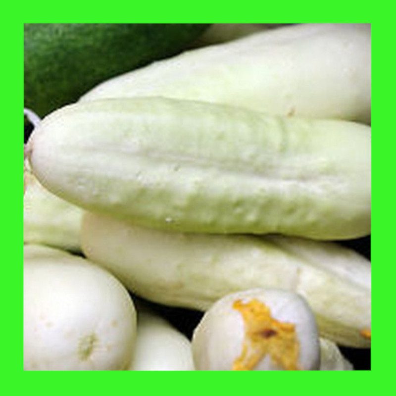 CUCUMBER-WHITE WONDER