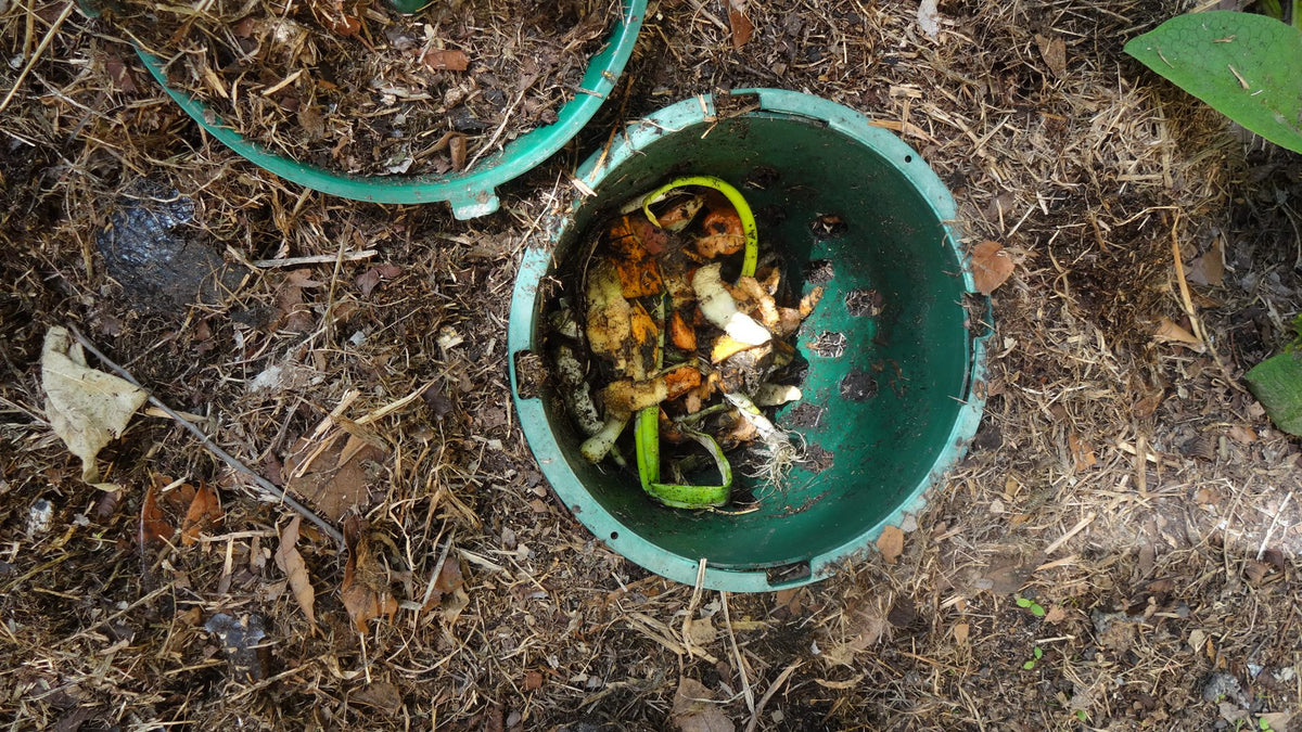 Compot & Lid x 2 | 5L Compost Bin