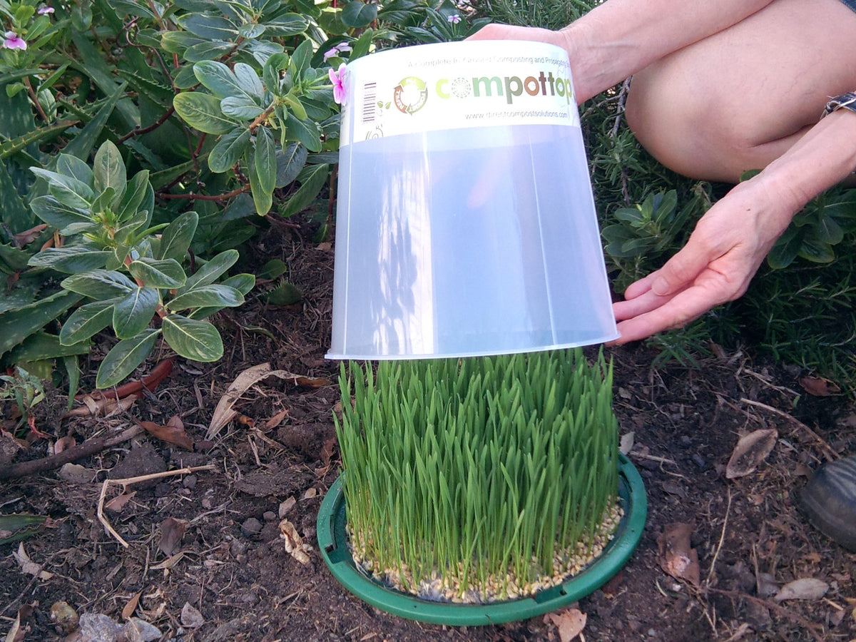 Plant Propagator Top