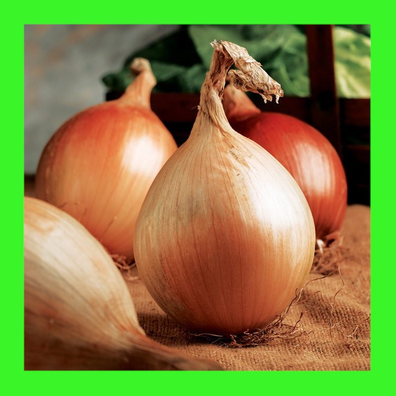 ONION-AILSA CRAIG