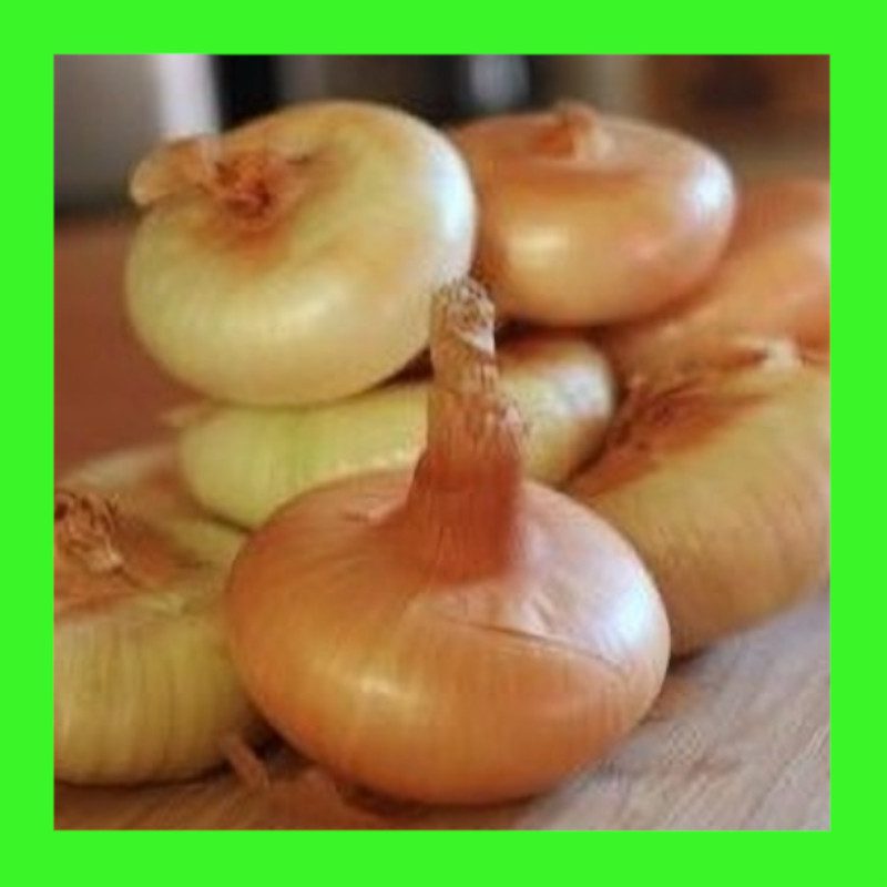 ONION-CIPOLLINI-BROWN