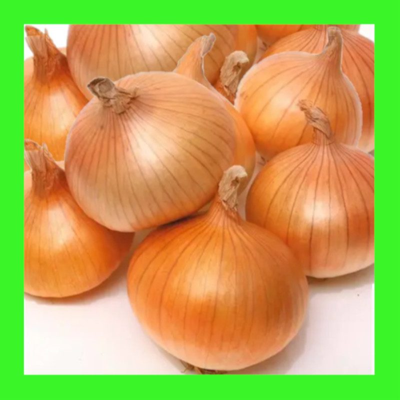 ONION-GLADALAN-BROWN