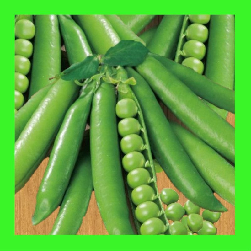 PEA-GREENFEAST SHELLING-DWARF