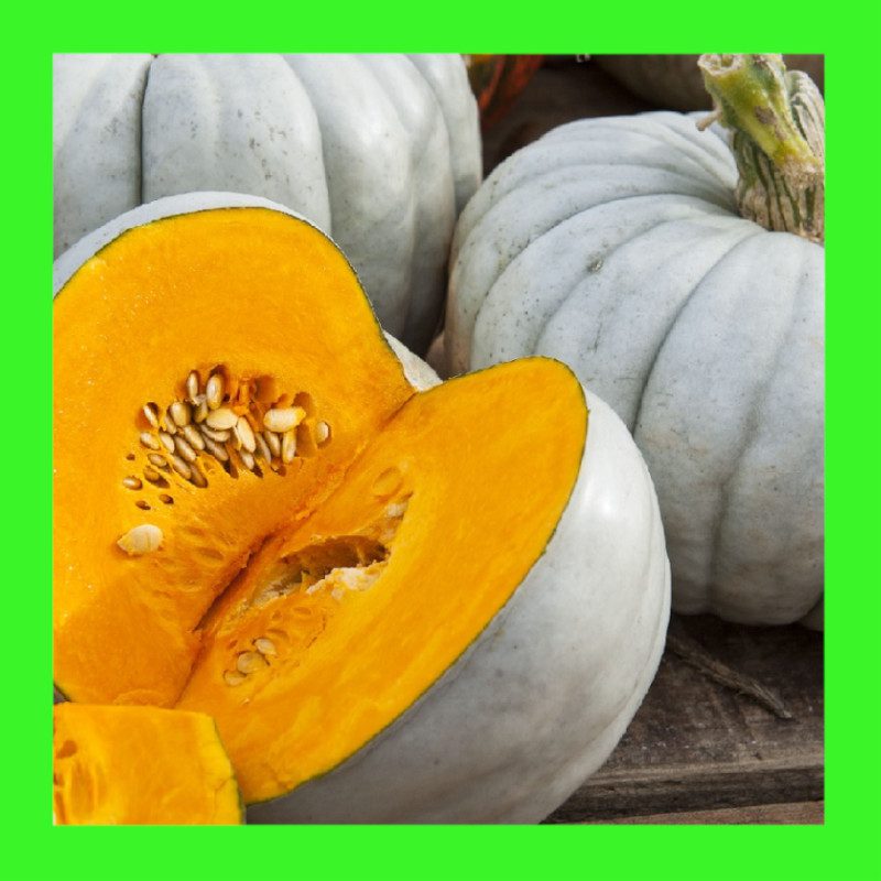 PUMPKIN-JARRAHDALE