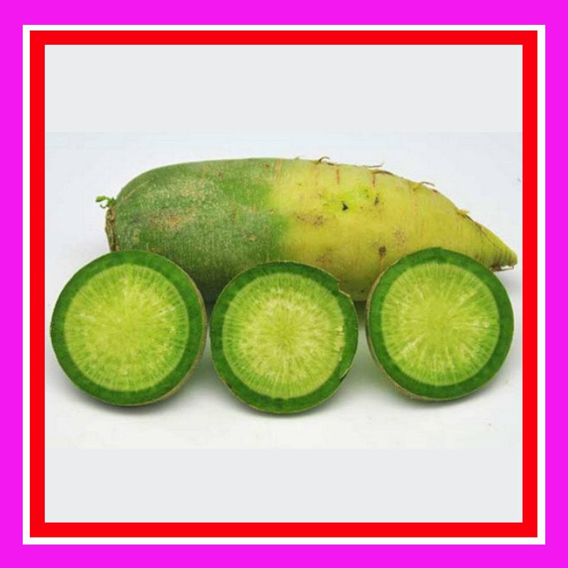 RADISH-ORIENTAL GREEN-QINGLUOBO (TREATED)
