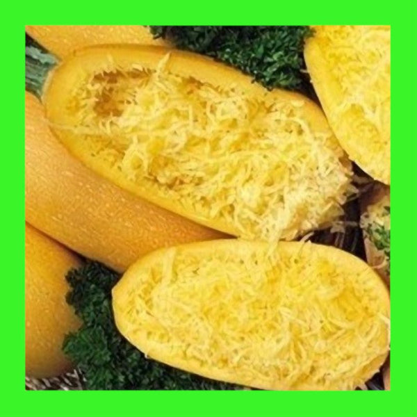 SQUASH-SPAGHETTI