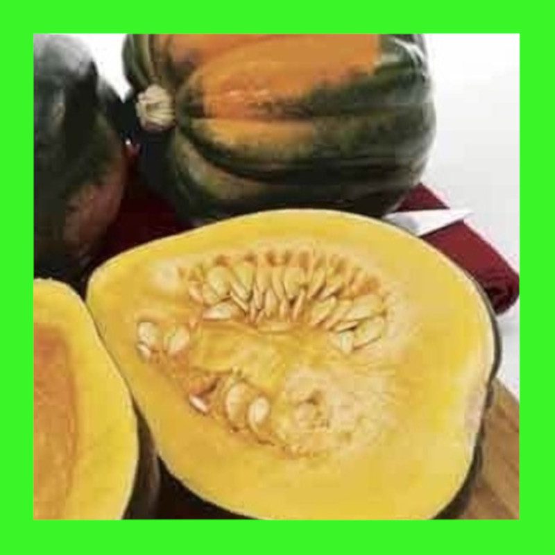 SQUASH-TABLE QUEEN ACORN
