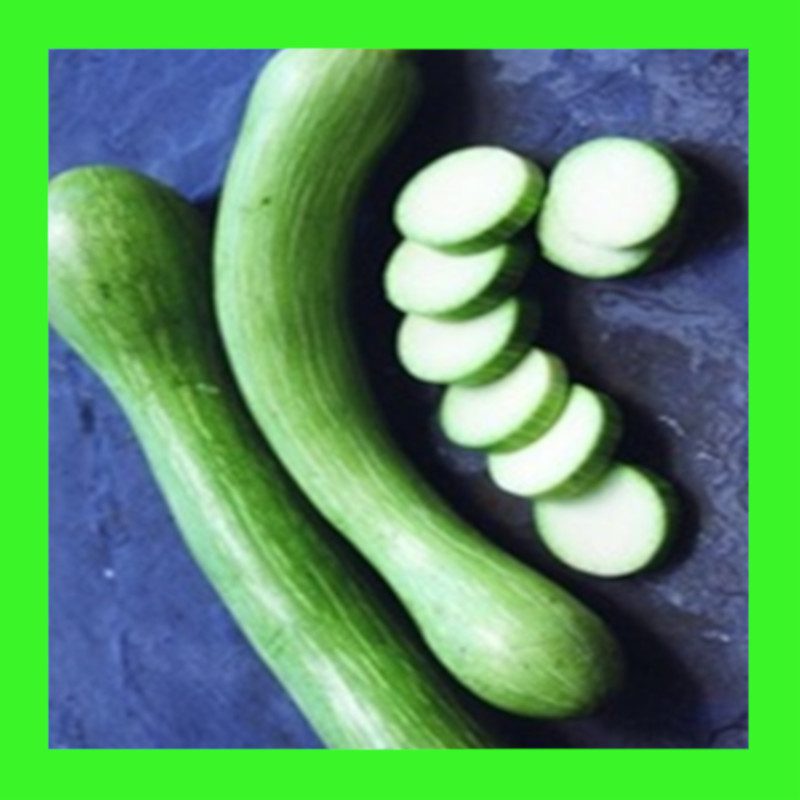SQUASH-TROMBONCINO