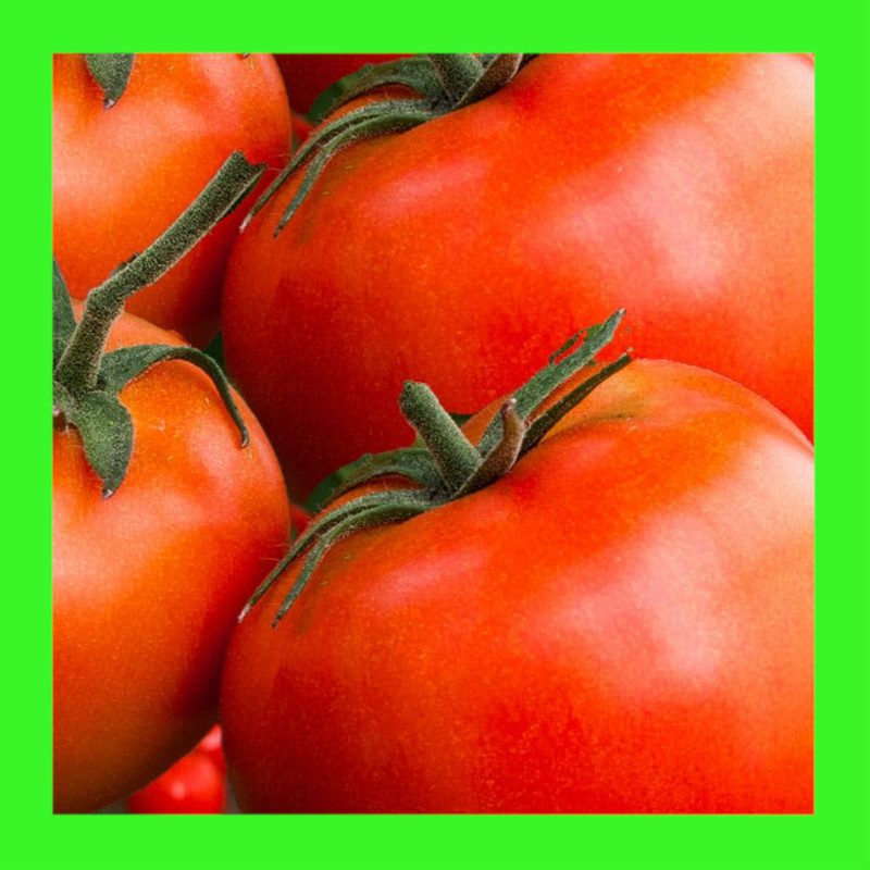TOMATO-BREAK O' DAY-AUST
