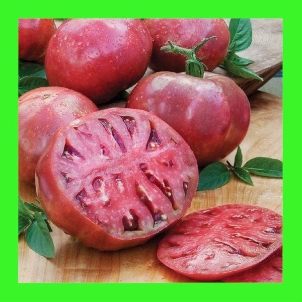 TOMATO-CHEROKEE PURPLE