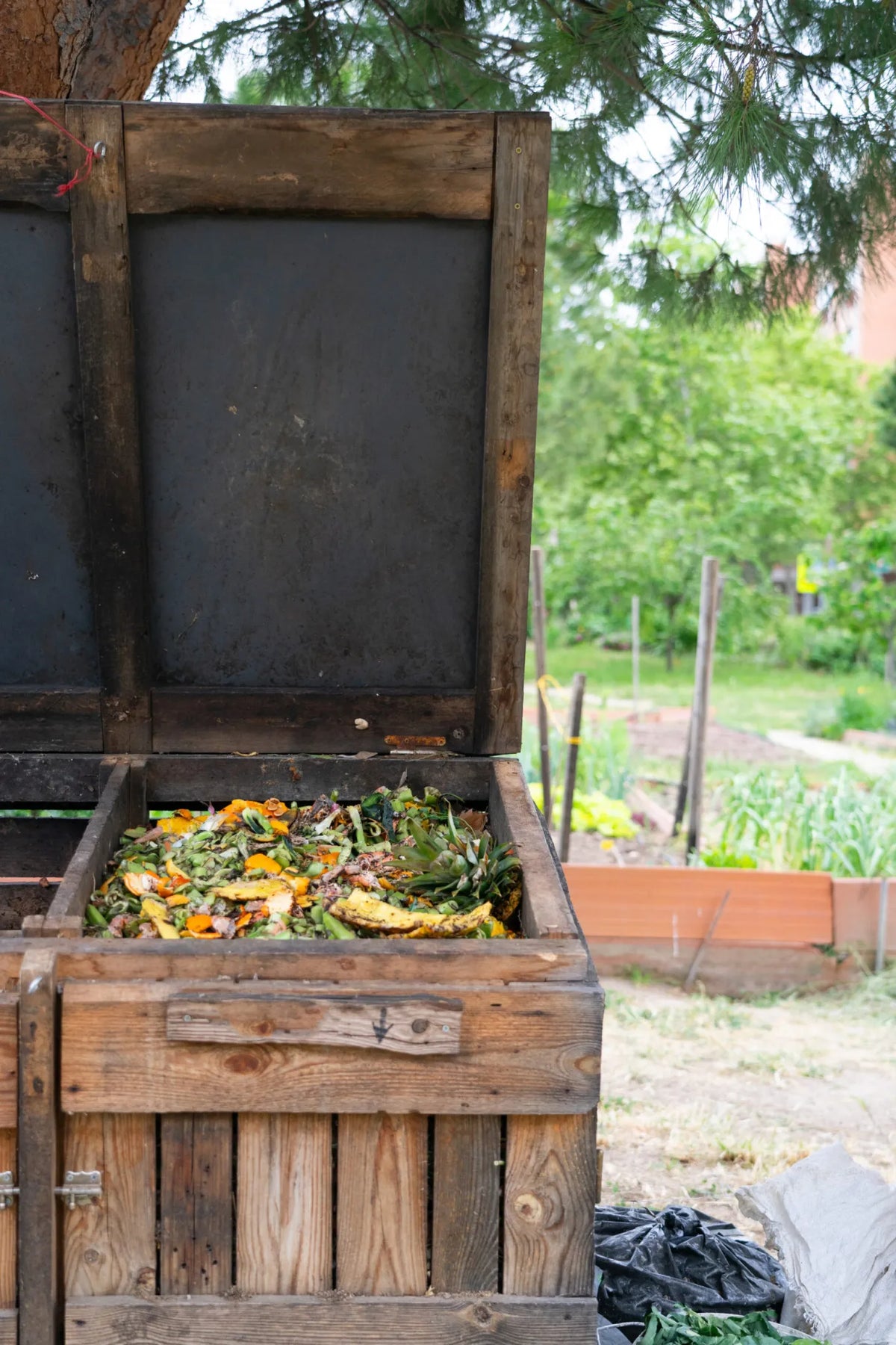 Why Choose Home Composting?