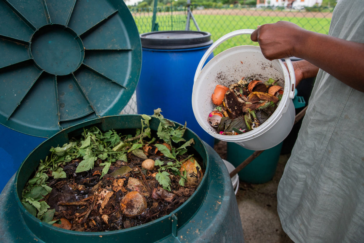 What Can You Add to Your Worm Composting System?