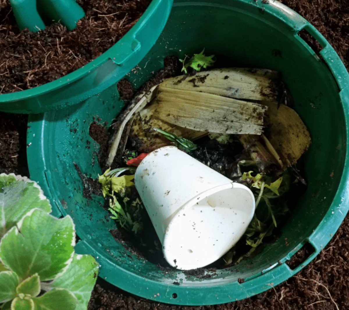 Serious Gardener Pack | 5L Compost Bin