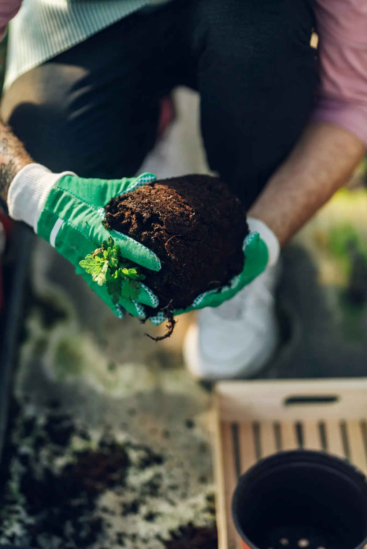 Why Gardening And Composting Matter