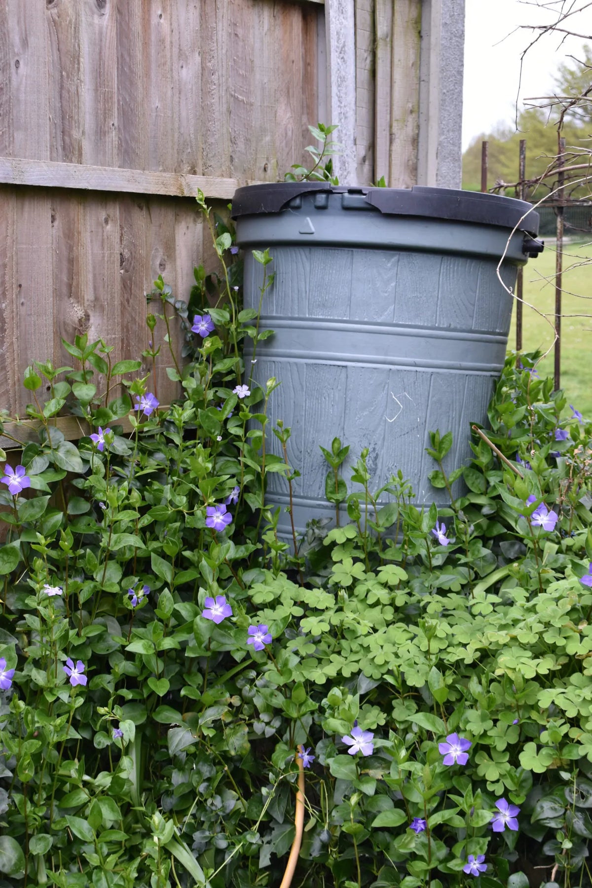 Why Choose the Eco-Eze Garden Composter?