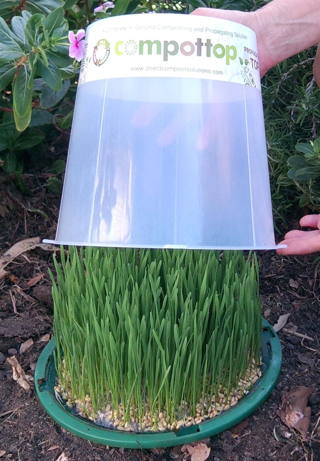 Why Choose a Compost Bin Australia Solution?