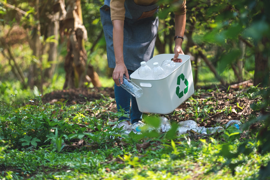 Compost Worms & Compost Worms For Sale – Boost Your Compost Naturally