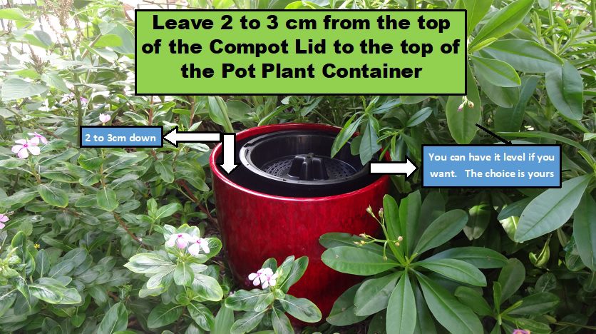 Compot-Inside-a-Pot-Plant-Container