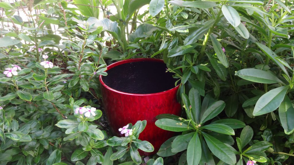 Red-Fiberglass-Pot-Plant-Container-in-the-garden