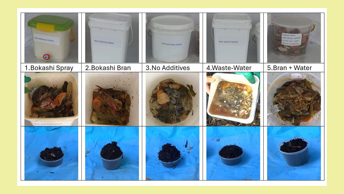Compost Comparison-5 Methods
