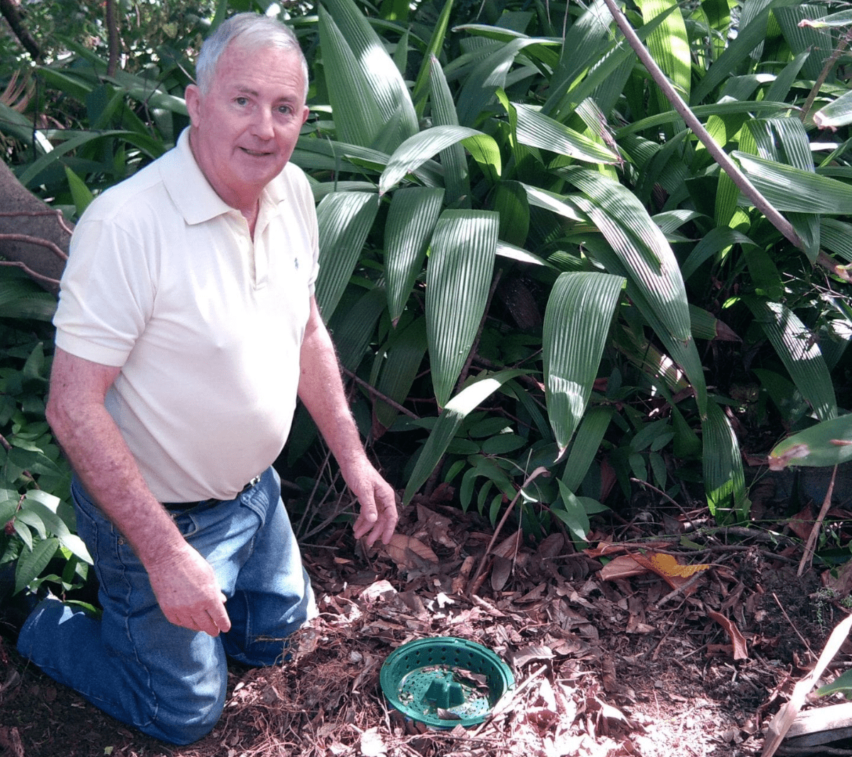 Holiday Effects on Bob's Compots