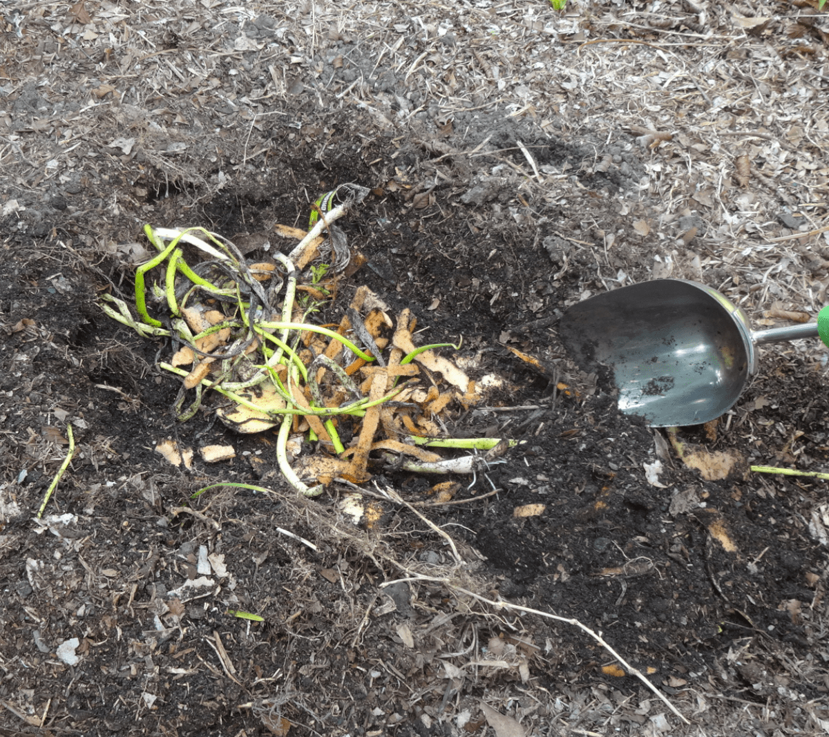 In-Ground Composter Comparison Guide