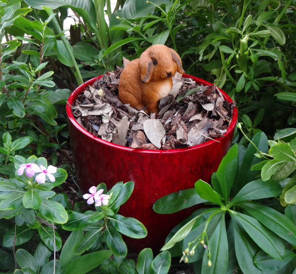 Super-Fast Composting above Ground with a Compot