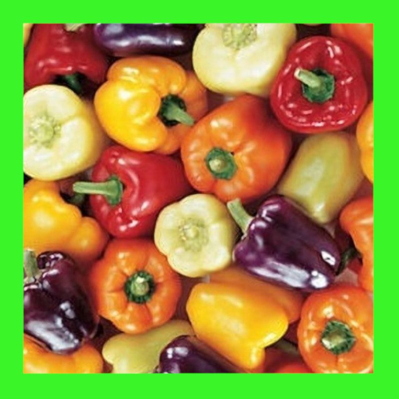 CAPSICUM-COLOUR MIX