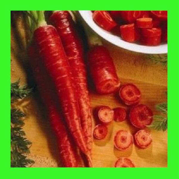 CARROT-ATOMIC RED
