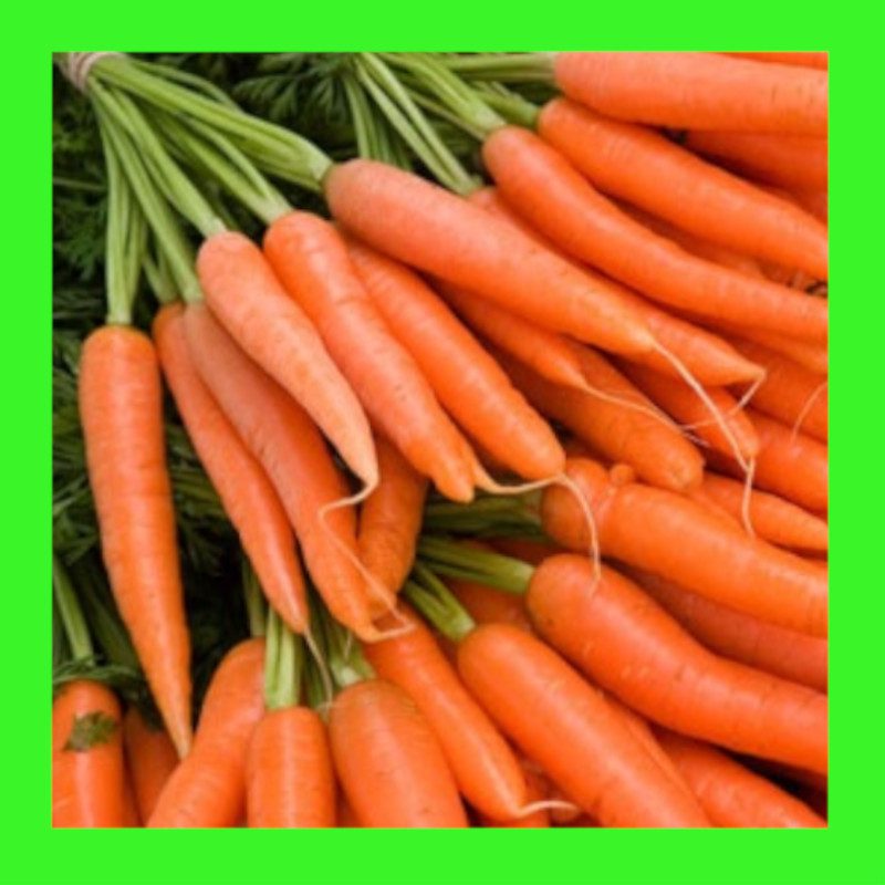CARROT-LITTLE FINGER
