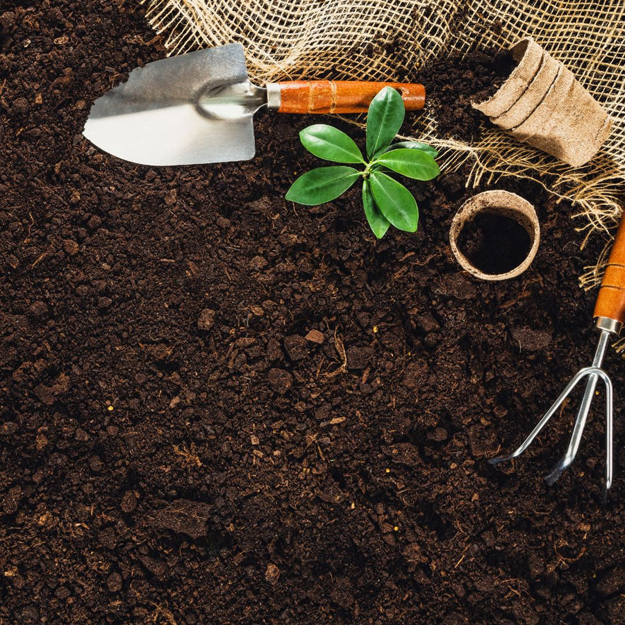 One composter, every kind of kitchen waste