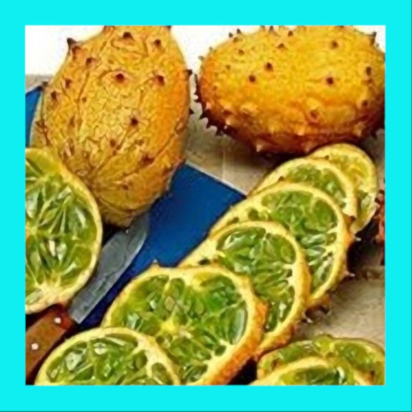 CUCUMBER-KIWANO-PRICKLY CUKE