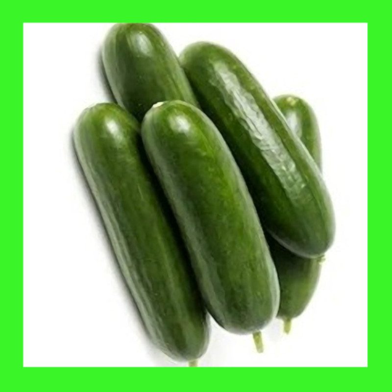 CUCUMBER-LEBANESE