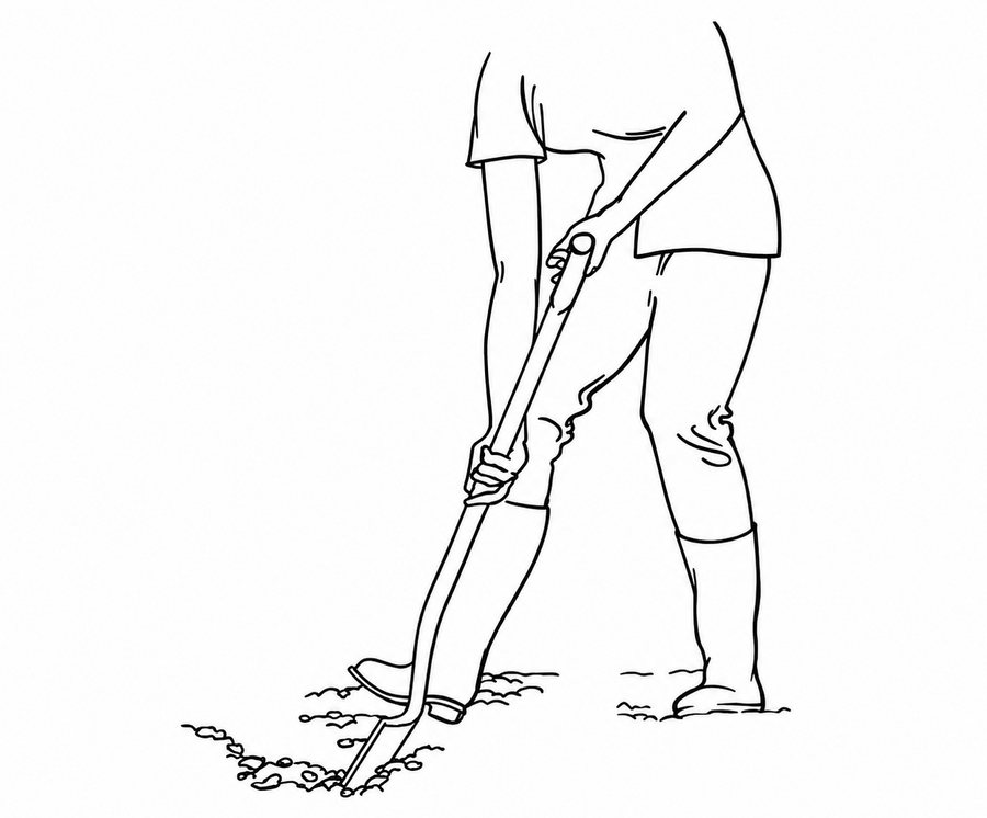 Dig a Small Hole